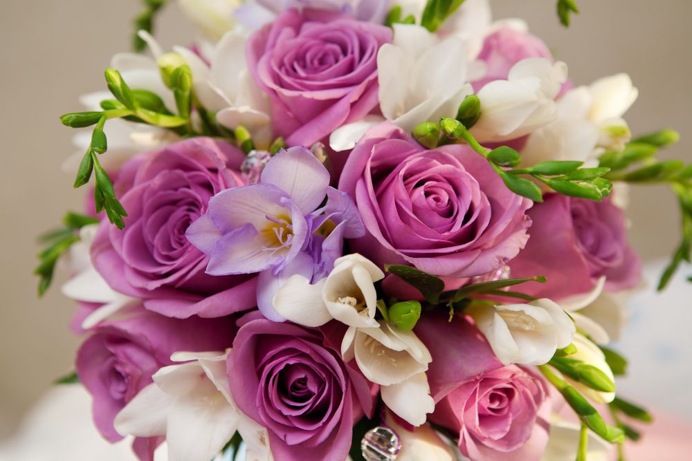 violet-flowers-roses-bouquet.jpg