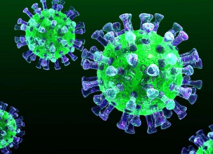 О мерах по недопущению распространения заболеваний, вызванных новым коронавирусом